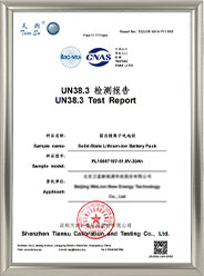 UN38.3